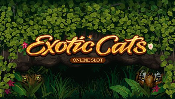 Exotic Cats