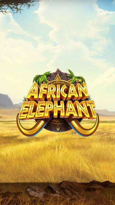 African Elephant