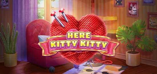 Here Kitty Kitty